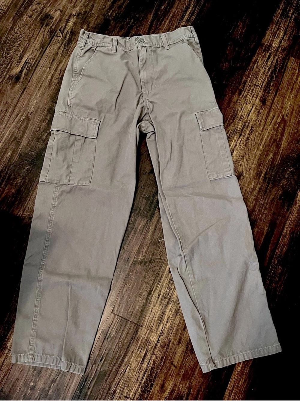 RSQ Men's Loose Cargo Pants gray/brown